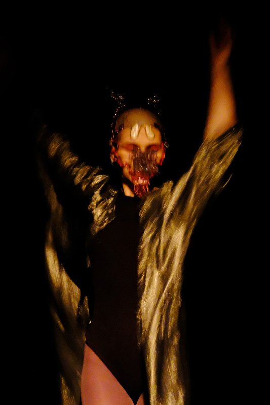 jg239679_Alina Sokulska