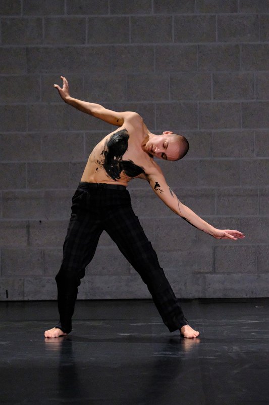 jg242231_Nunzia Picciallo