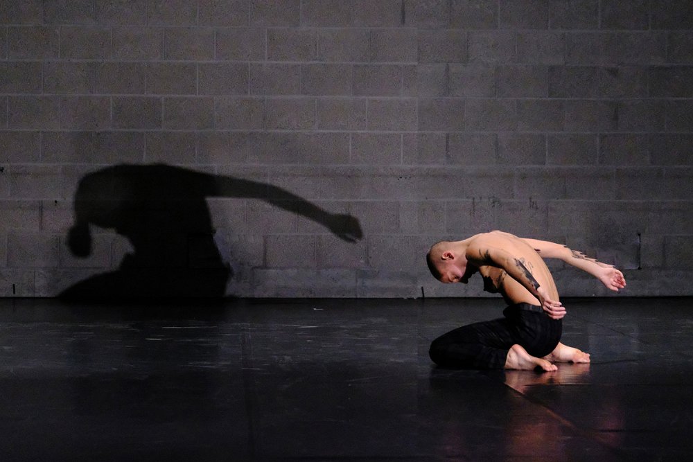 jg242254_Nunzia Picciallo